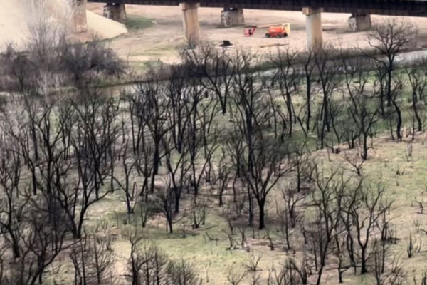 wildfire_damage_from_helicopter-(1)
